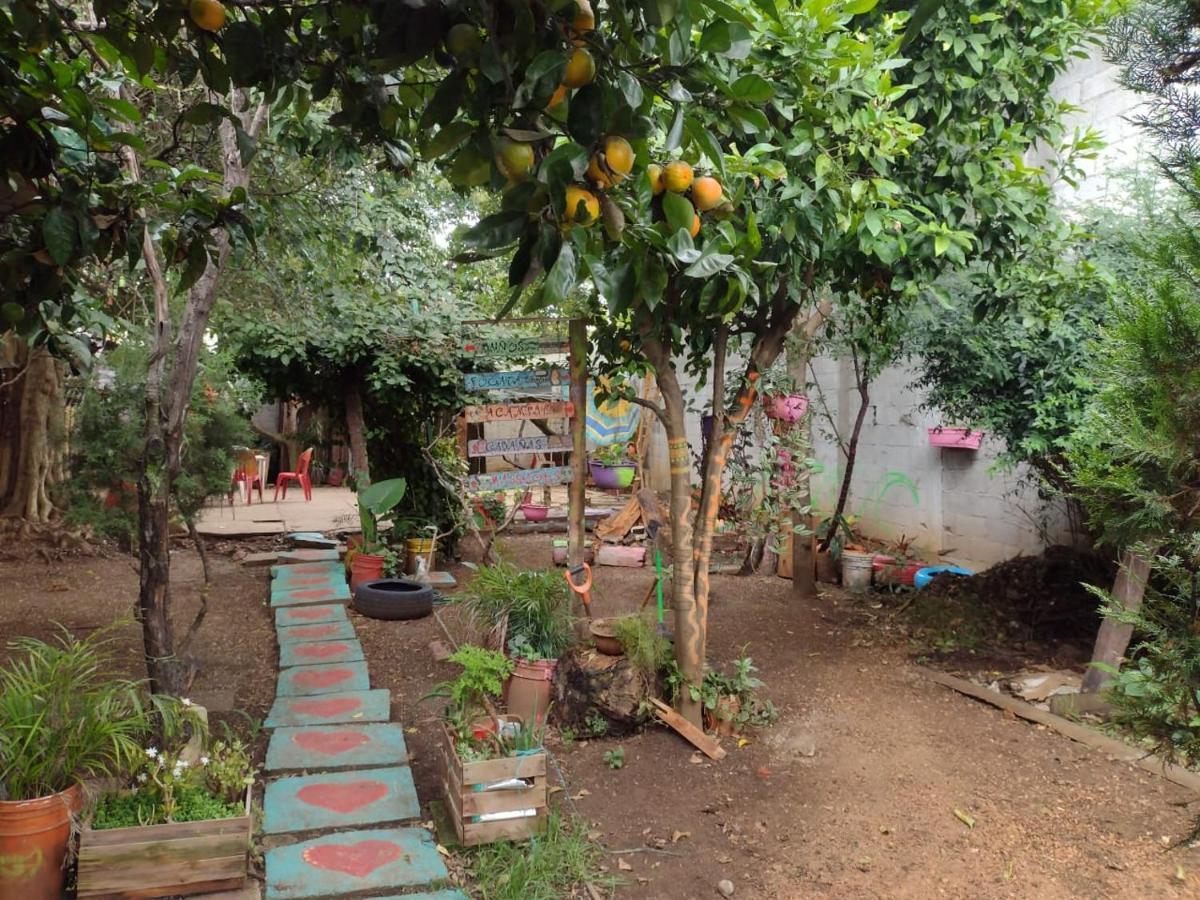 Casa Lothuz Spacio Cultural Y Disidente San Cristóbal de Las Casas Exterior foto